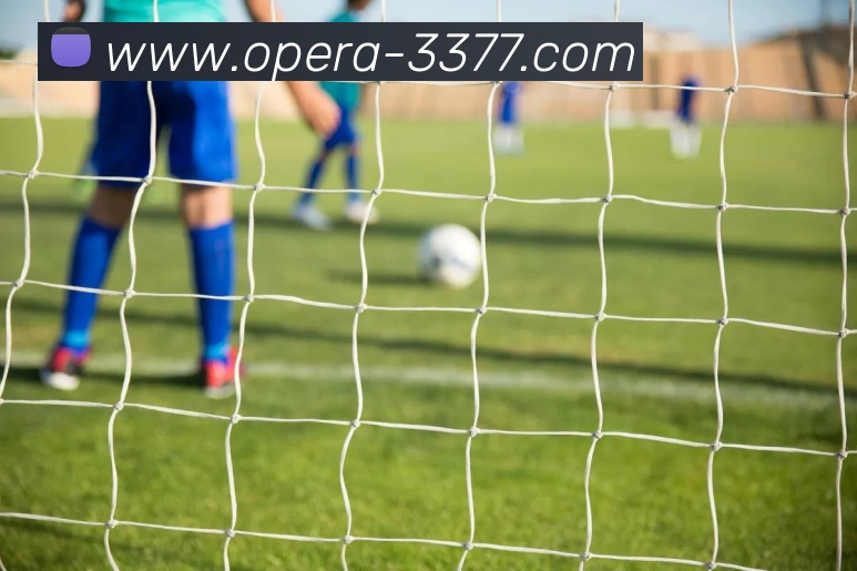 3377体育品牌故事