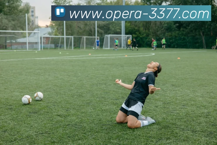 3377体育服务体系