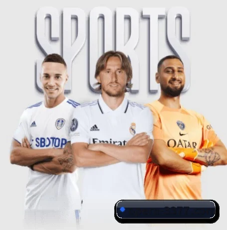 我们在做什么(3377SPORTS)